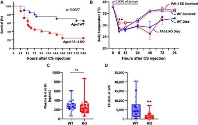 PAI-1 as a critical factor in the resolution of sepsis and acute kidney injury in old age